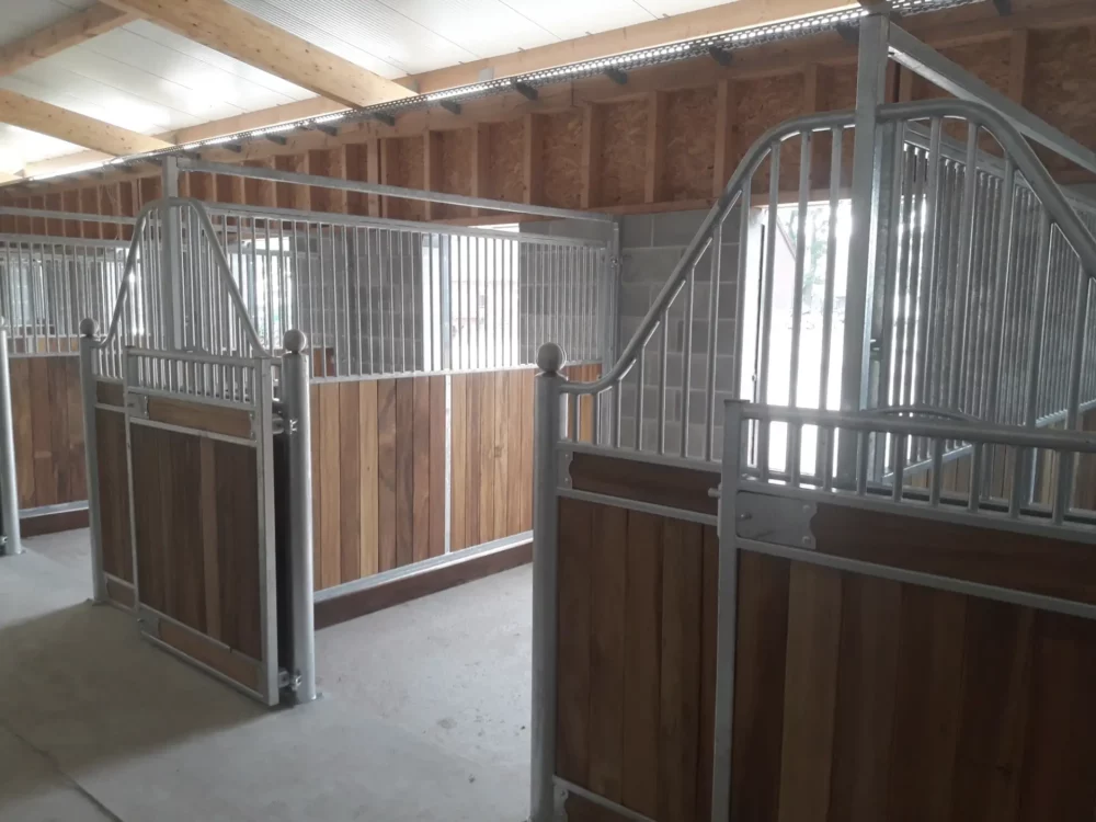 APPALOOSA_1 APPALOOSA_1