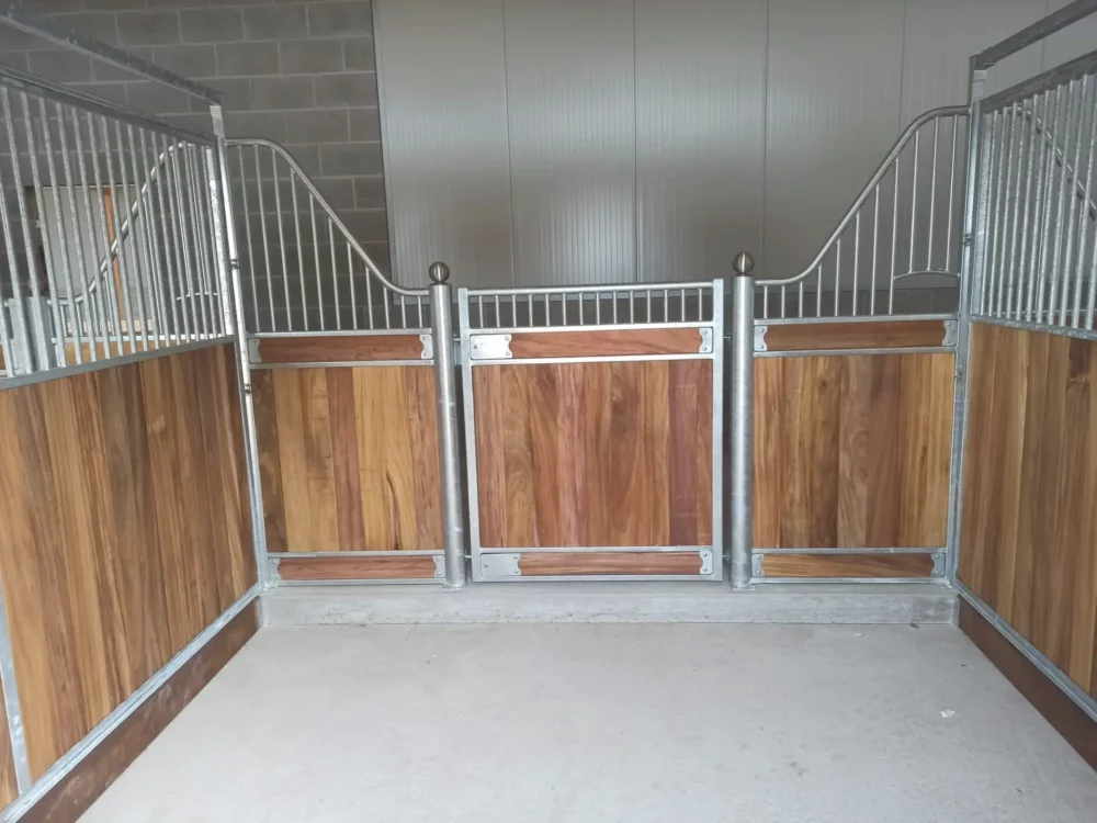 APPALOOSA_10 APPALOOSA_10