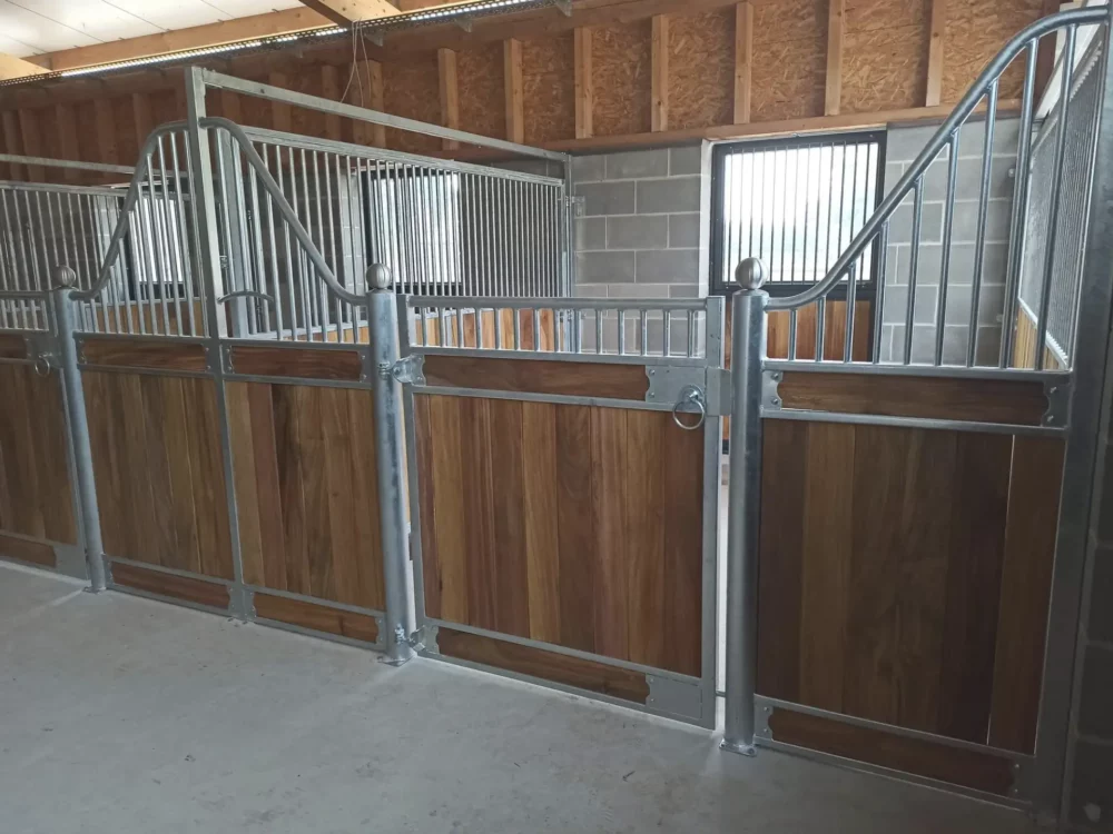 APPALOOSA_11 APPALOOSA_11