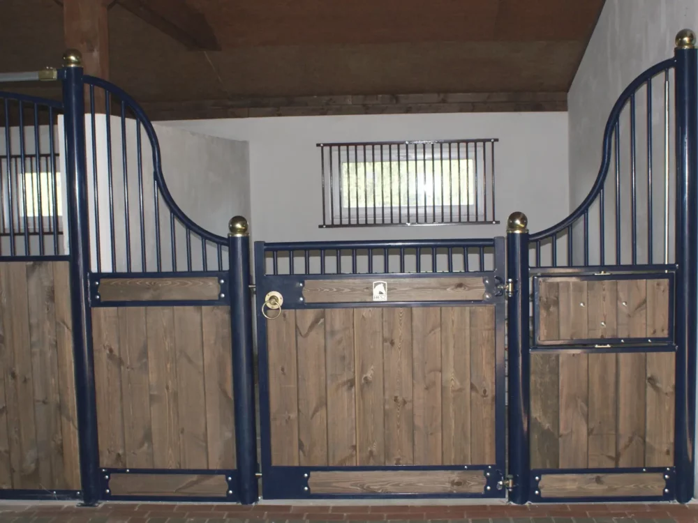 APPALOOSA_12 APPALOOSA_12