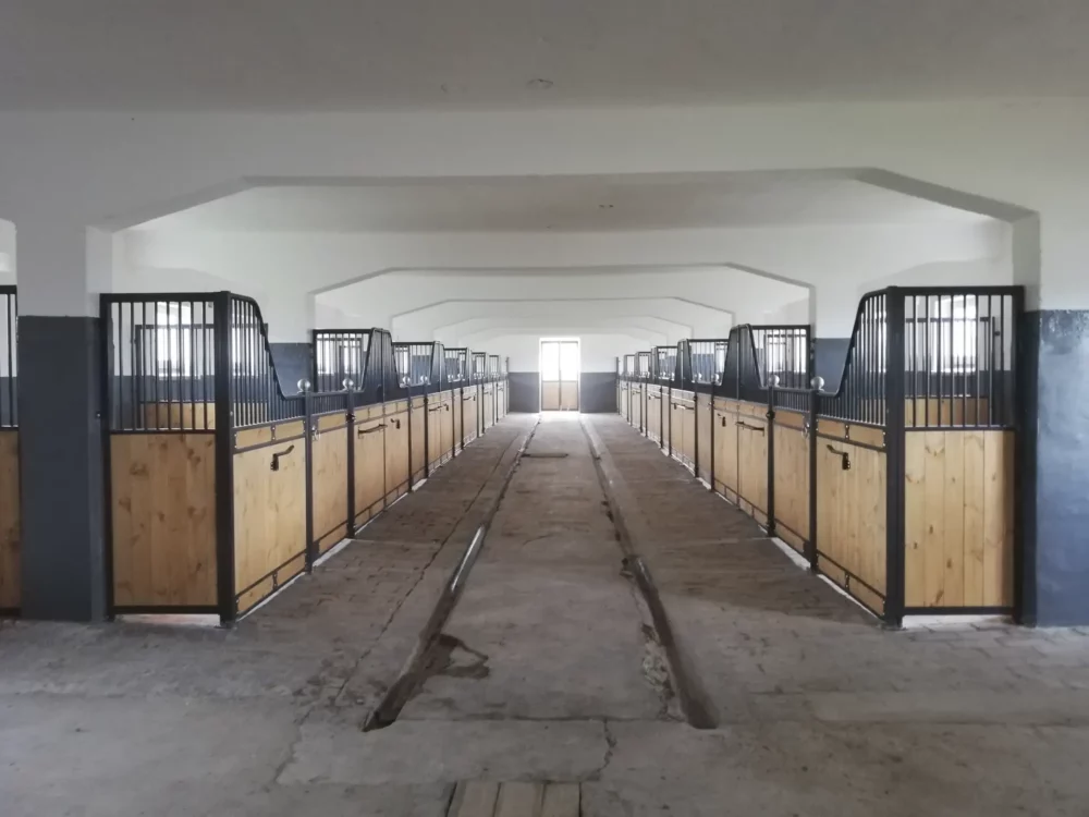 APPALOOSA_13 APPALOOSA_13