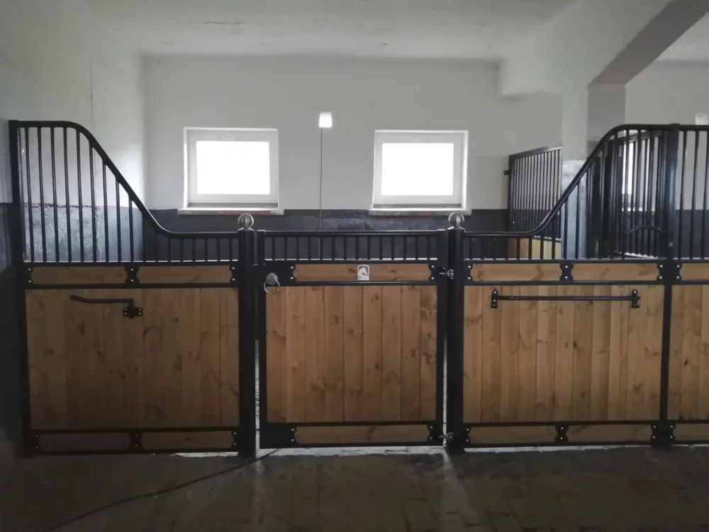 APPALOOSA_14 APPALOOSA_14