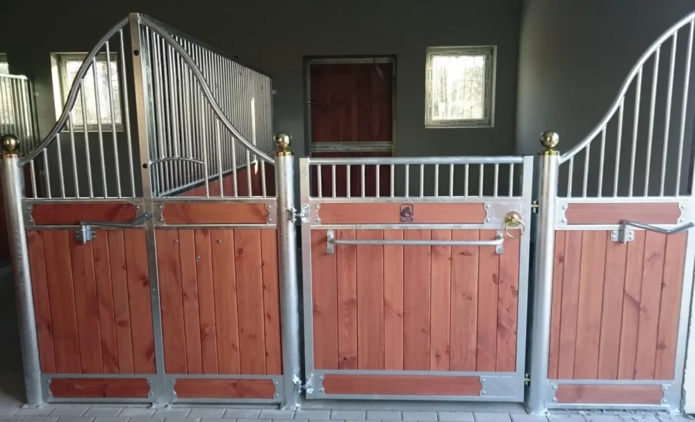 APPALOOSA_17 APPALOOSA_17