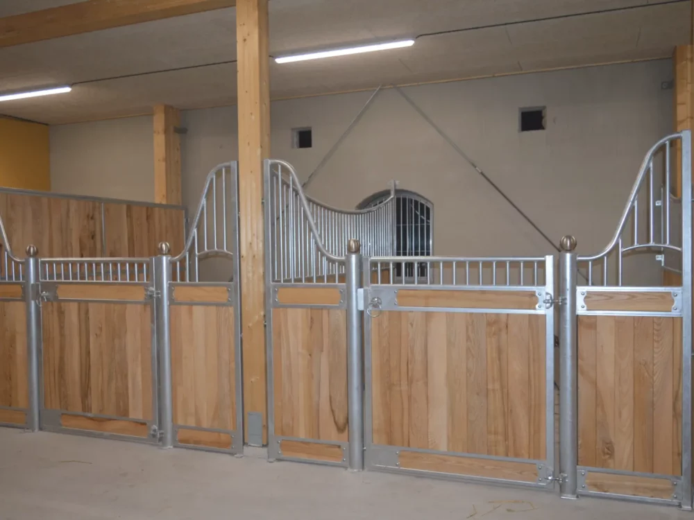 APPALOOSA_18 APPALOOSA_18