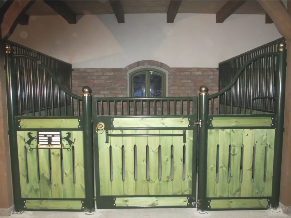 APPALOOSA_19 APPALOOSA_19