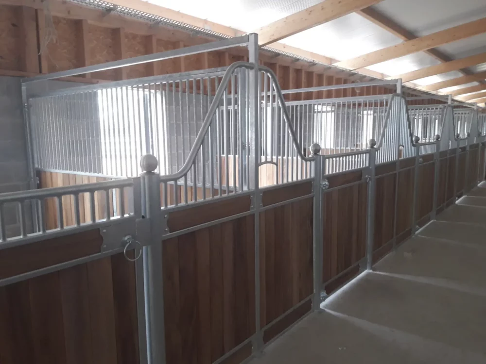 APPALOOSA_2 APPALOOSA_2