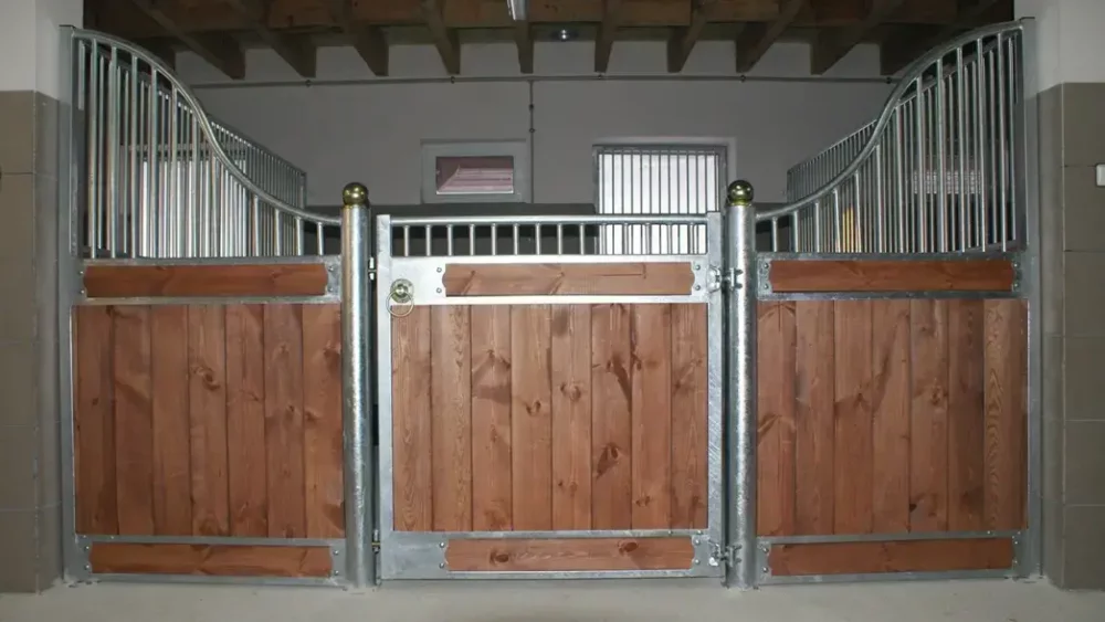 APPALOOSA_26 APPALOOSA_26