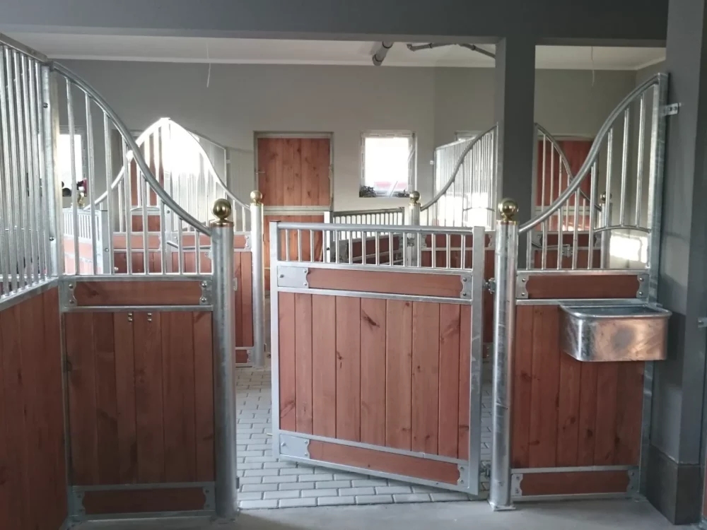 APPALOOSA_3 APPALOOSA_3