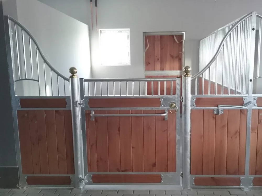 APPALOOSA_4 APPALOOSA_4