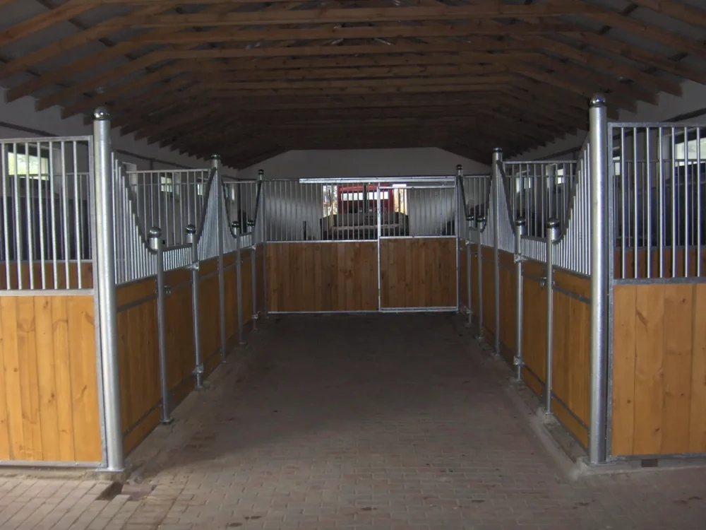 APPALOOSA_5 APPALOOSA_5