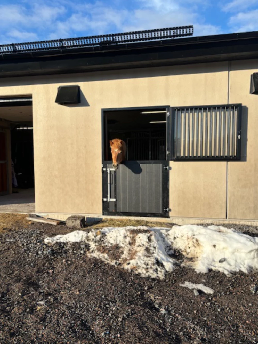 Drzwi_stajenne_DS20_12 Drzwi_stajenne_DS20_12