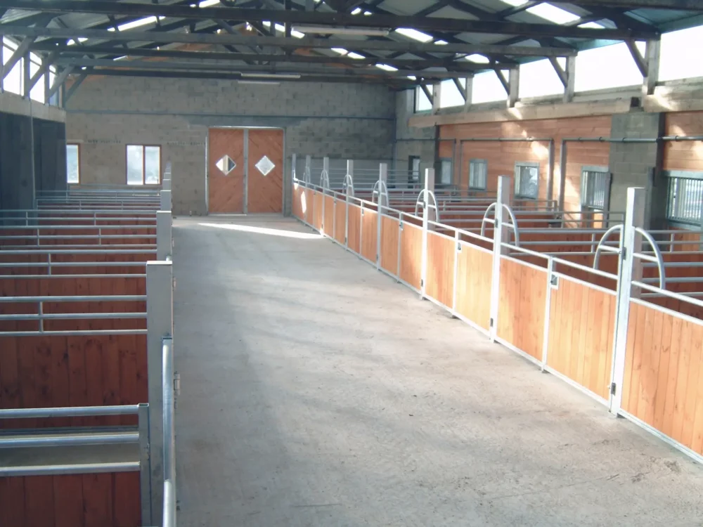 FALABELLA_8 FALABELLA_8