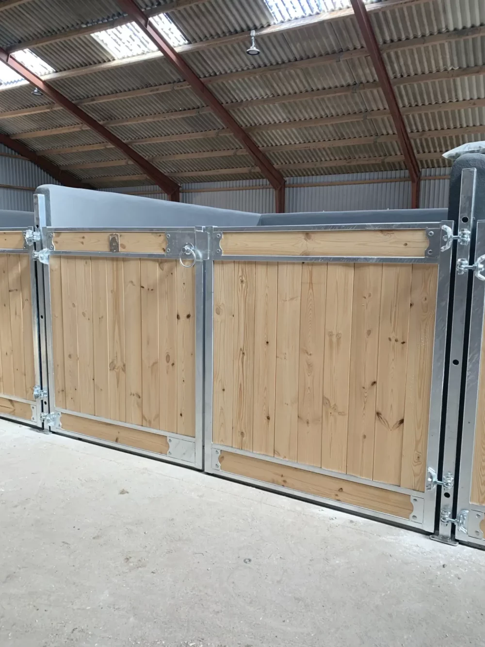 FALABELLA_9 FALABELLA_9