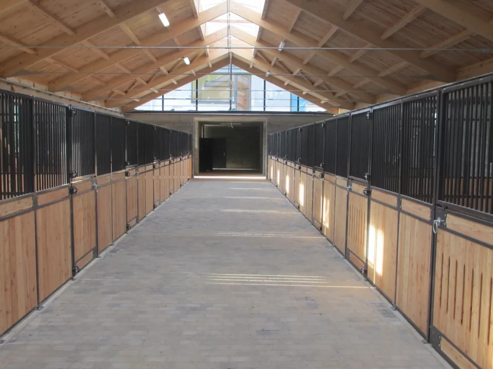 FURIOSO_10 FURIOSO_10