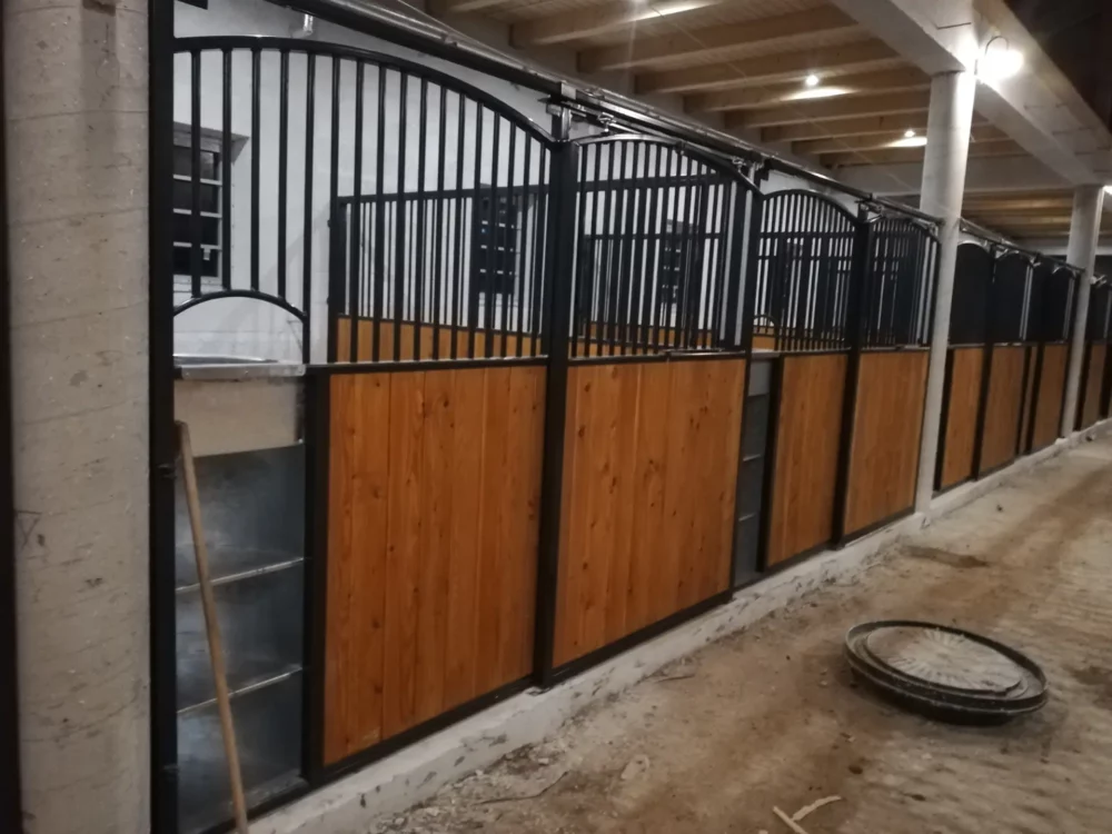 HACKNEY_11 HACKNEY_11