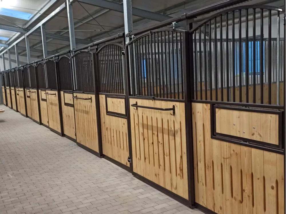 HACKNEY_13 HACKNEY_13