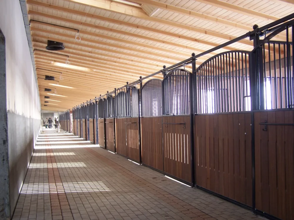 HACKNEY_21 HACKNEY_21