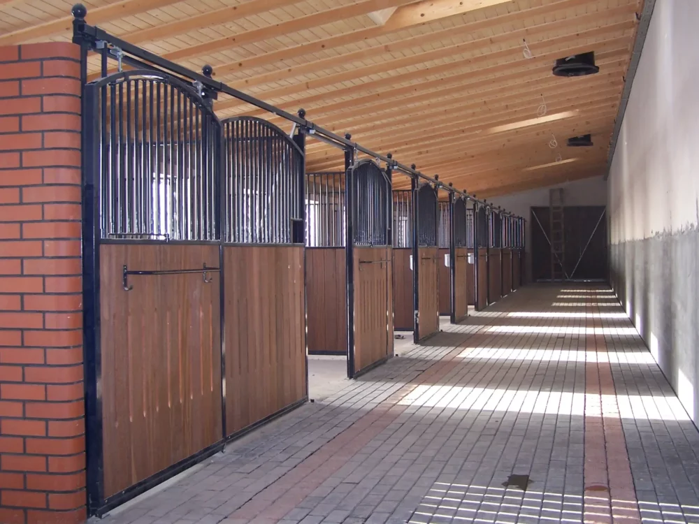 HACKNEY_22 HACKNEY_22