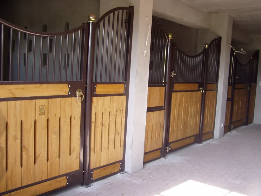 HAFLINGER_10 HAFLINGER_10