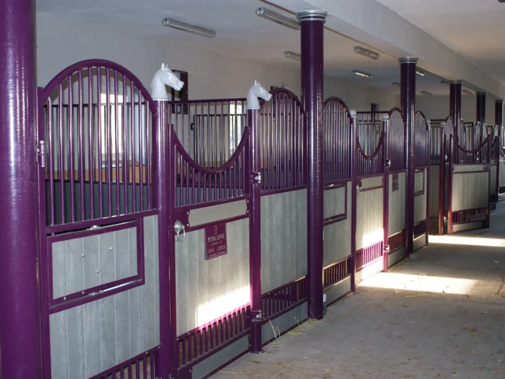 HAFLINGER_4 HAFLINGER_4