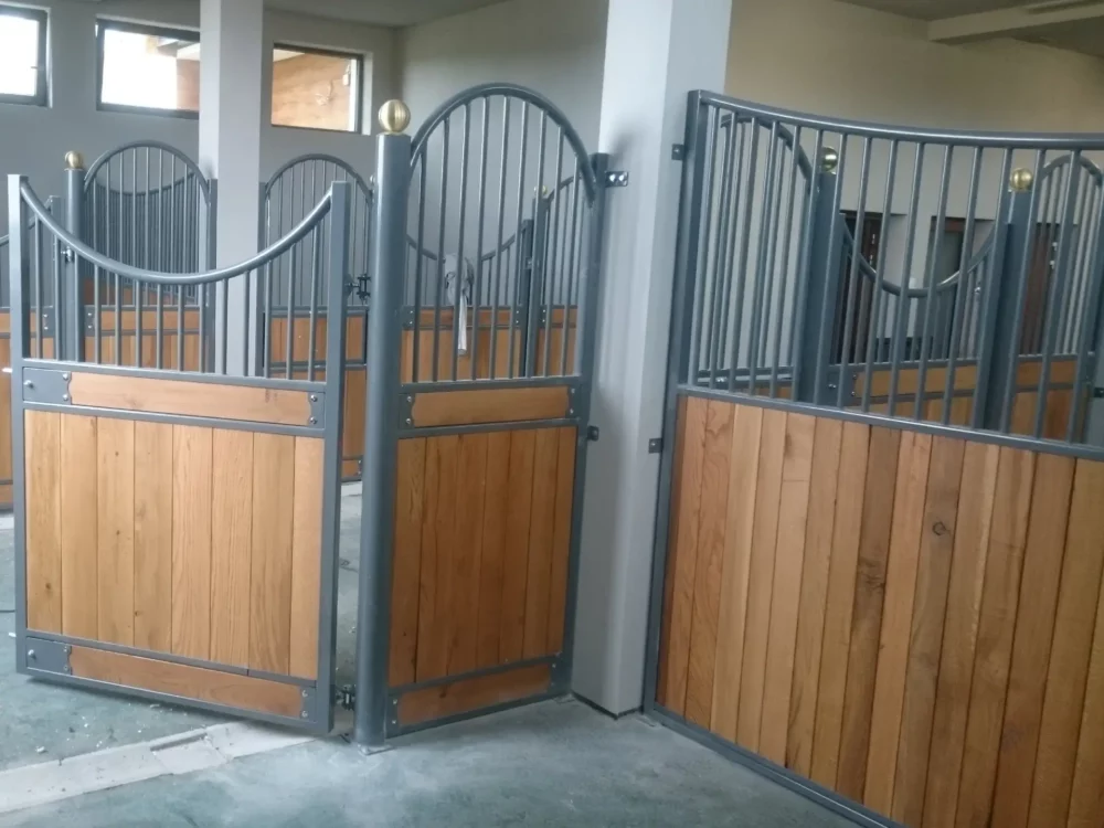 HAFLINGER_5 HAFLINGER_5