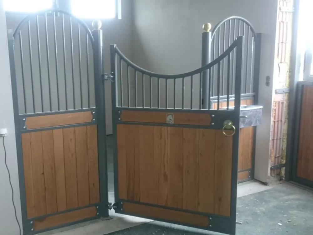 HAFLINGER_6 HAFLINGER_6