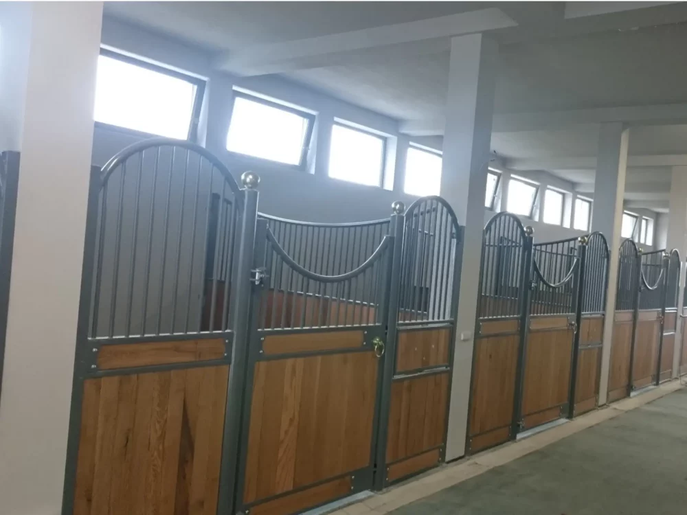 HAFLINGER_7 HAFLINGER_7