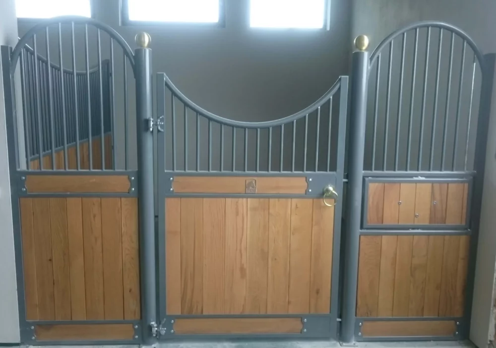 HAFLINGER_8 HAFLINGER_8