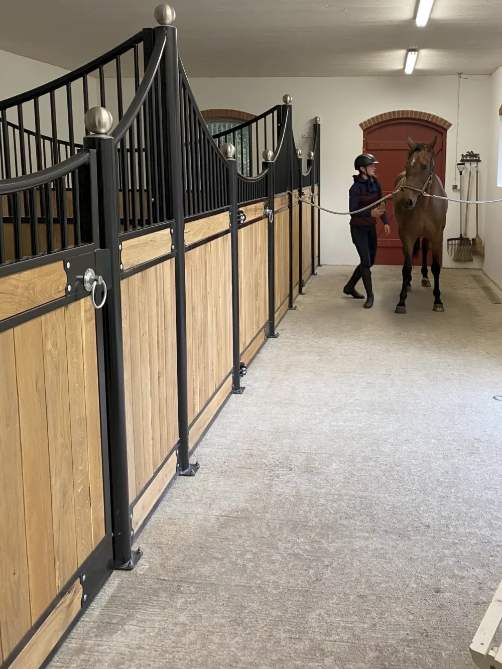 LEWITZER_14 LEWITZER_14