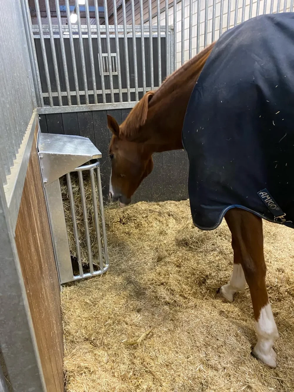 Paśnik easy hay10 Paśnik easy hay10