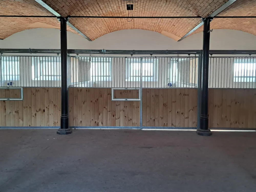 STANDARDBRED_10 STANDARDBRED_10