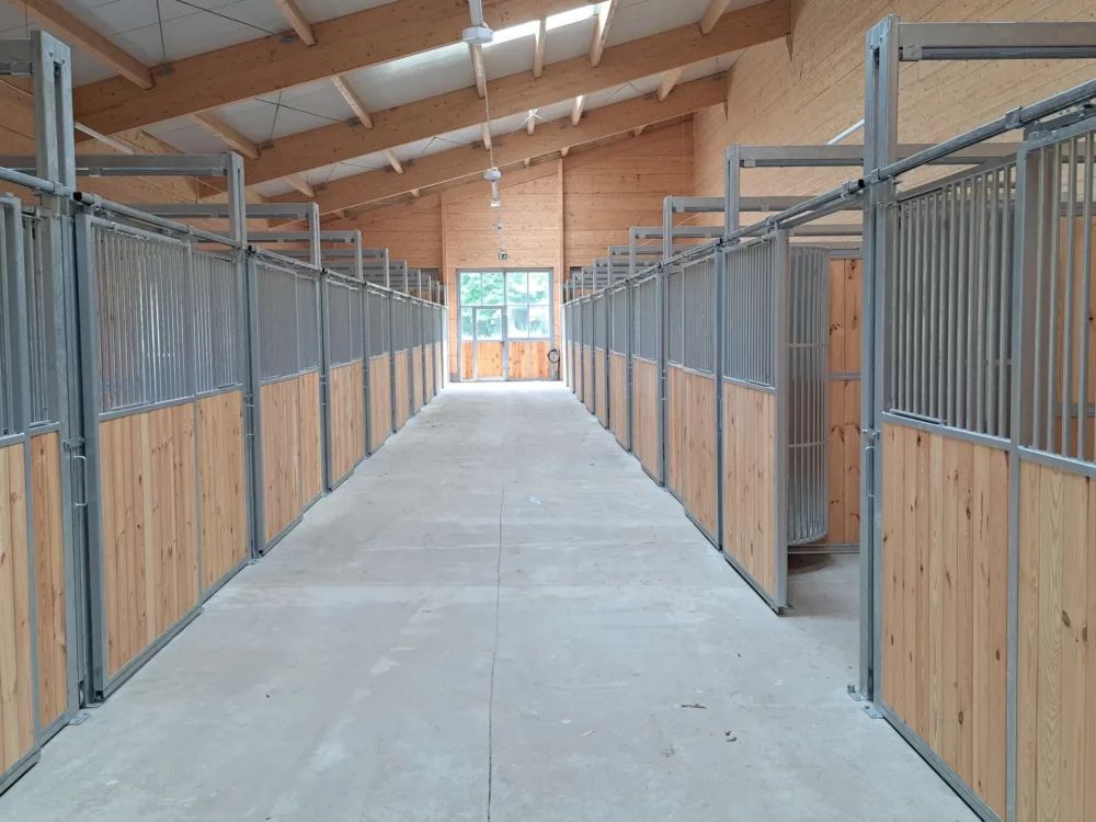 STANDARDBRED_11 STANDARDBRED_11