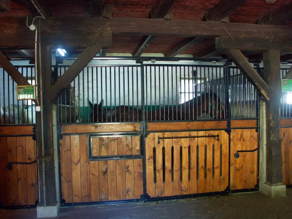 STANDARDBRED_14 STANDARDBRED_14