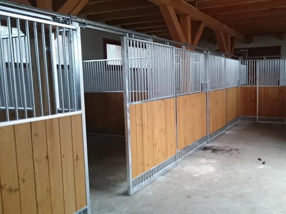 STANDARDBRED_16 STANDARDBRED_16