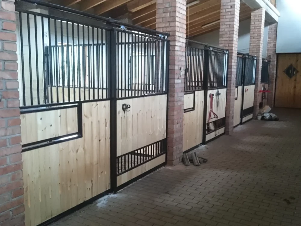 STANDARDBRED_17 STANDARDBRED_17