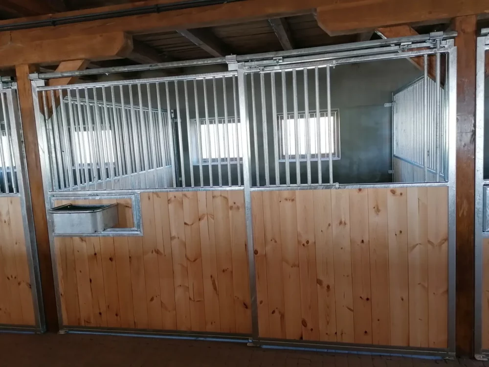 STANDARDBRED_18 STANDARDBRED_18