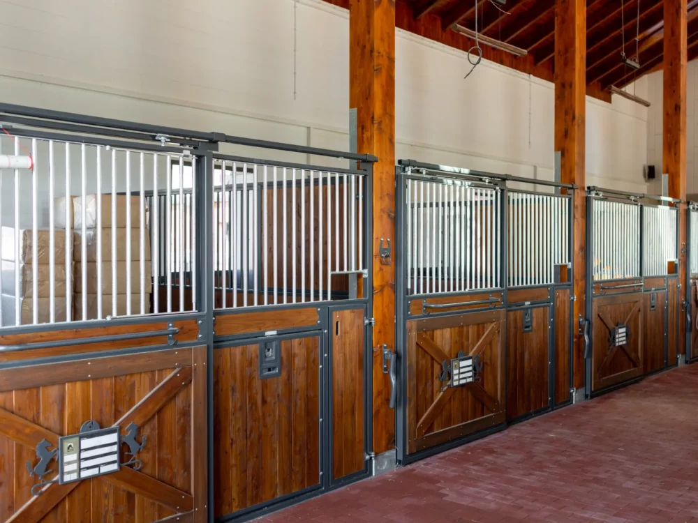 STANDARDBRED_24 STANDARDBRED_24