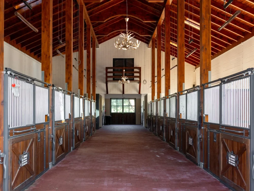 STANDARDBRED_26 STANDARDBRED_26