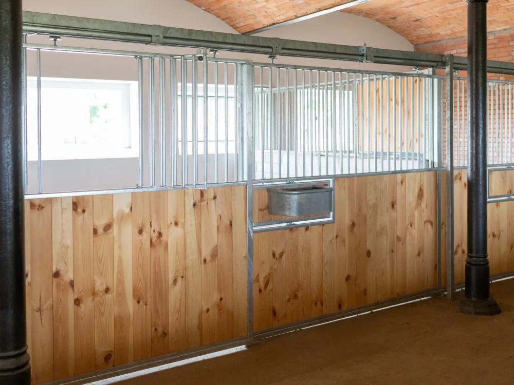 STANDARDBRED_27 STANDARDBRED_27