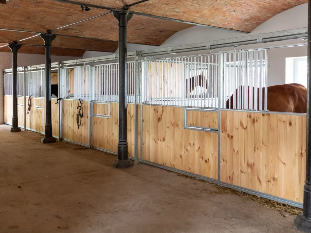 STANDARDBRED_28 STANDARDBRED_28