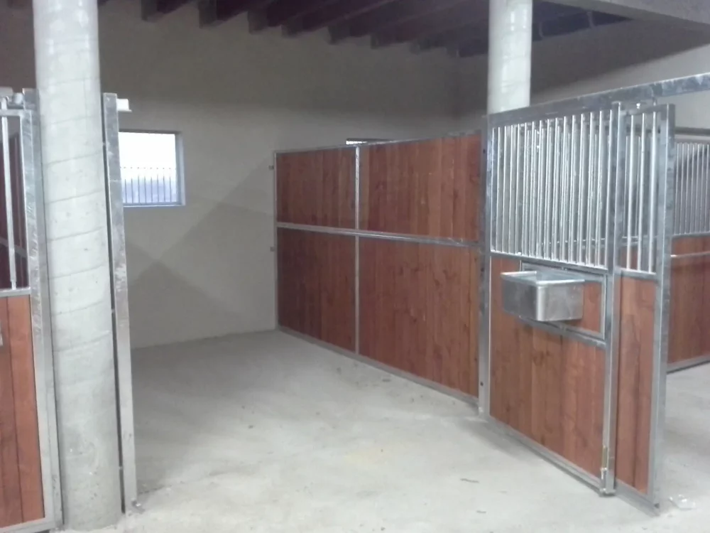 STANDARDBRED_3 STANDARDBRED_3