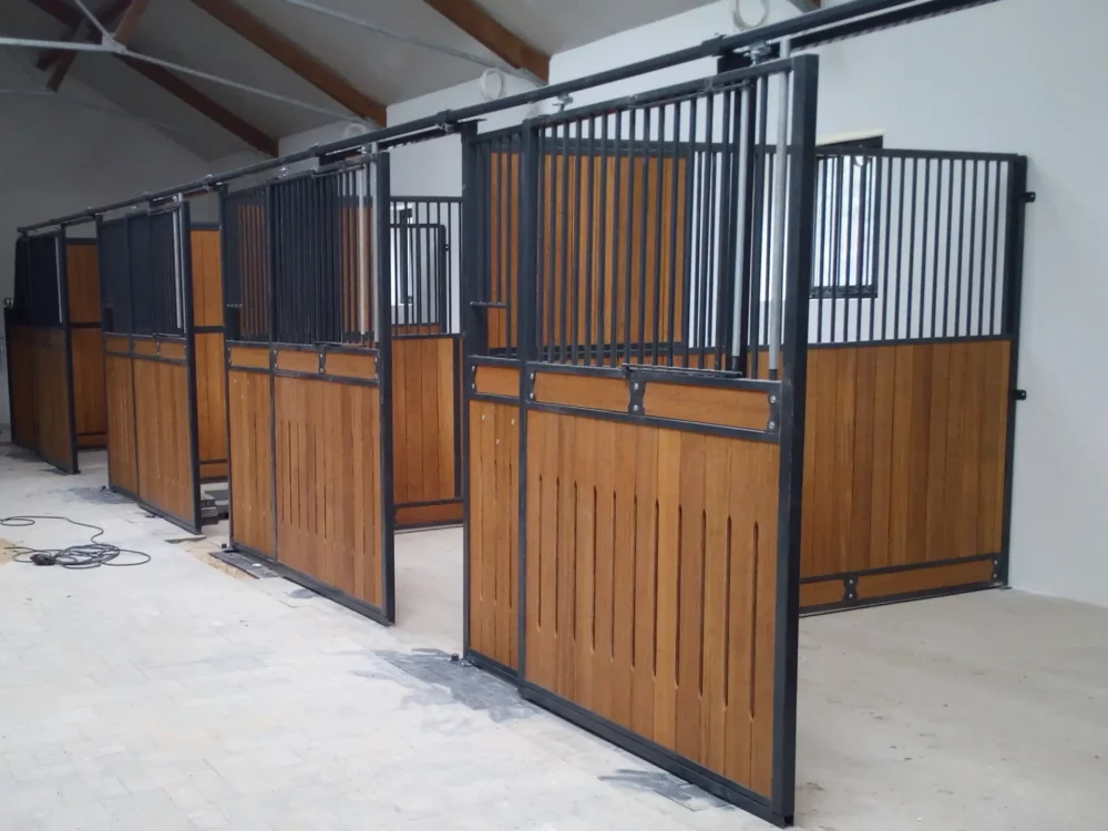 STANDARDBRED_31 STANDARDBRED_31