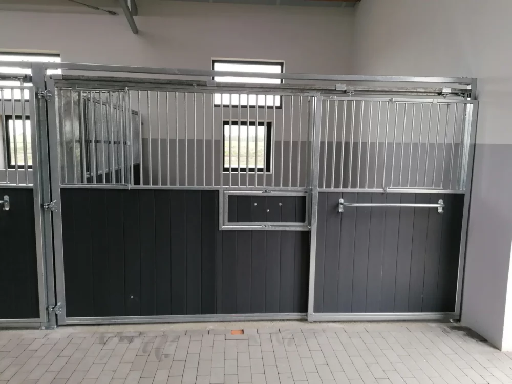 STANDARDBRED_35 STANDARDBRED_35