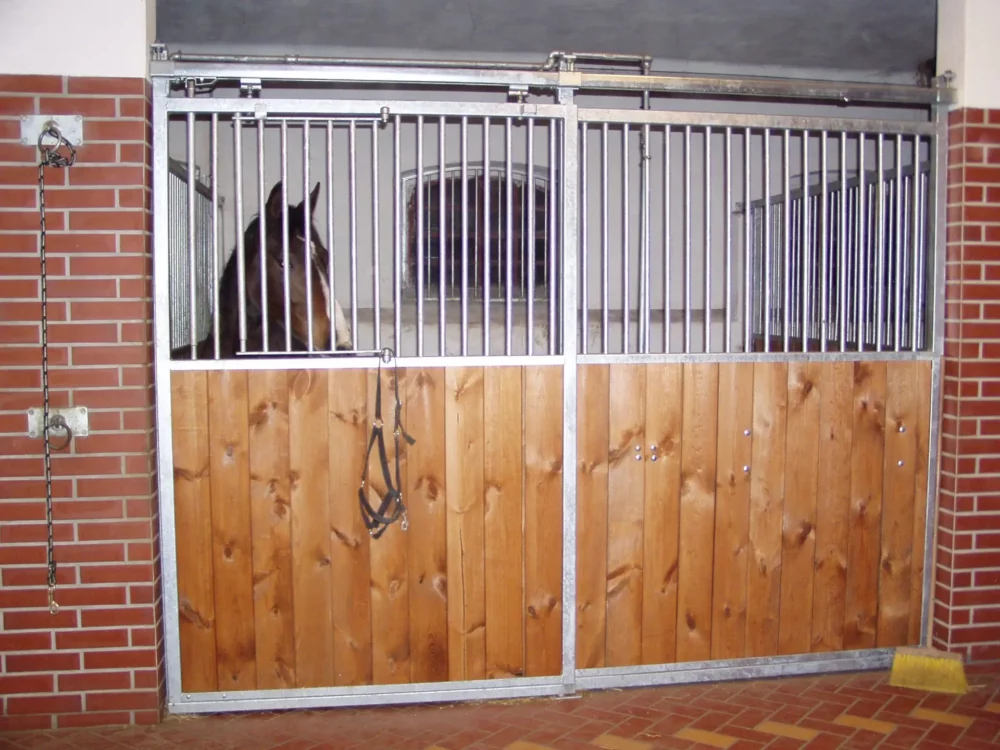 STANDARDBRED_38 STANDARDBRED_38