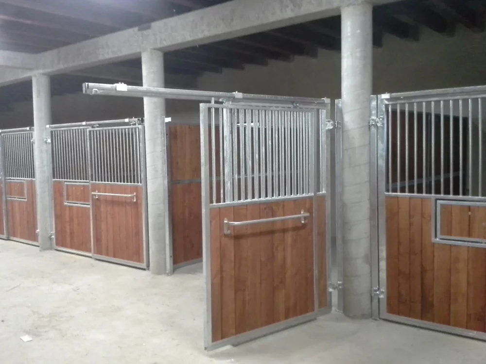 STANDARDBRED_4 STANDARDBRED_4