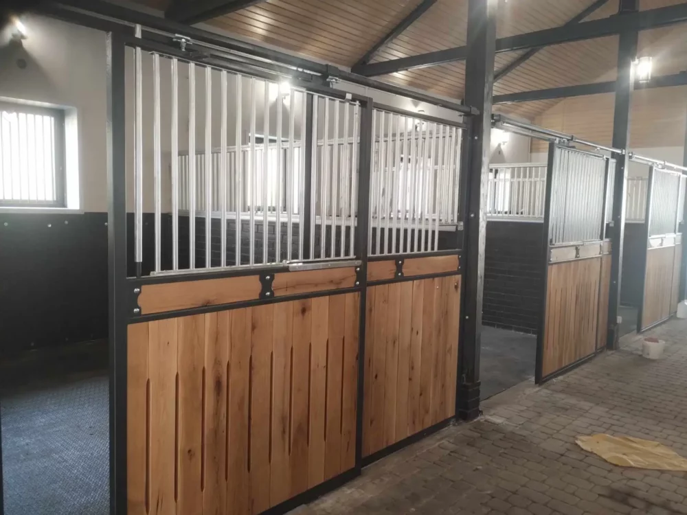 STANDARDBRED_42 STANDARDBRED_42