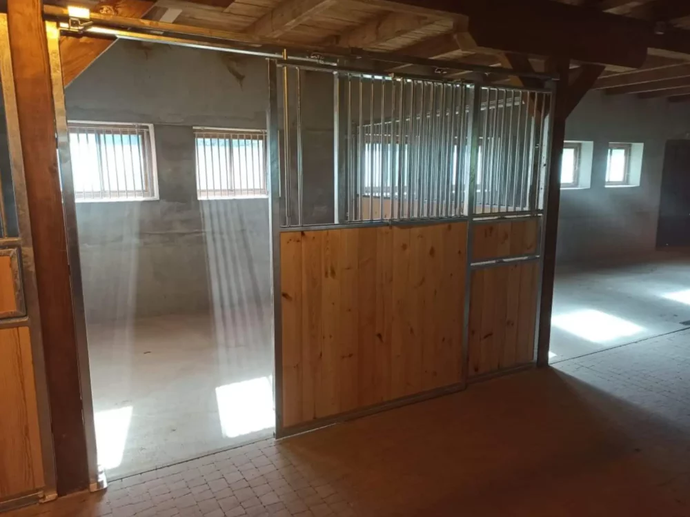 STANDARDBRED_43 STANDARDBRED_43