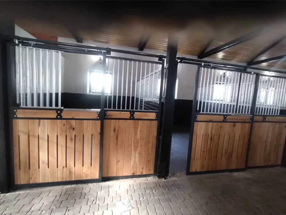 STANDARDBRED_44 STANDARDBRED_44