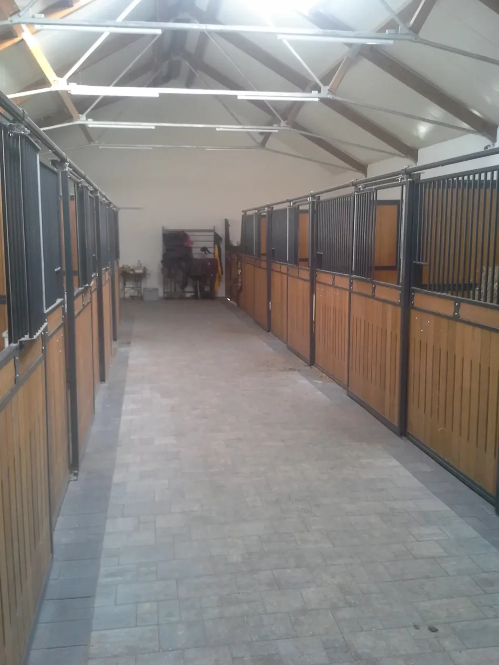 STANDARDBRED_5 STANDARDBRED_5