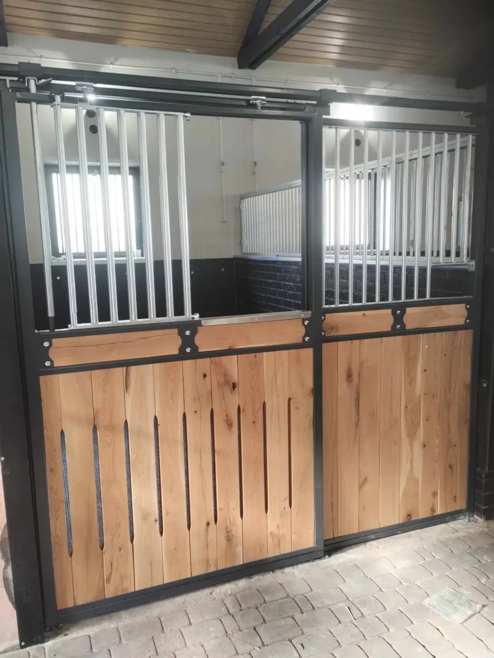 STANDARDBRED_50 STANDARDBRED_50